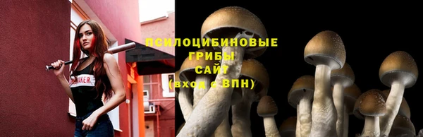 спиды Майский