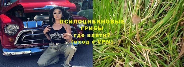 прущие крисы Бабаево