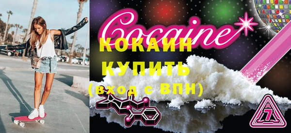 индика Медвежьегорск