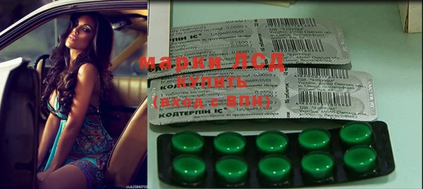 индика Медвежьегорск