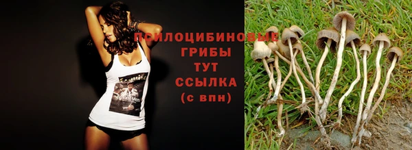 твердый Магадан