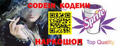 спиды Гай