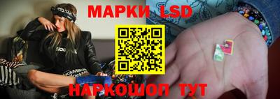 мяу мяу мука Гатчина
