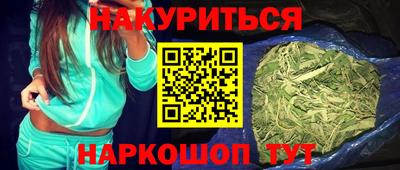спиды Гай