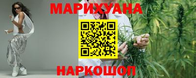 спиды Гай