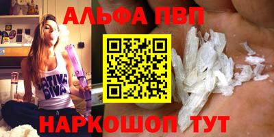 спиды Гай