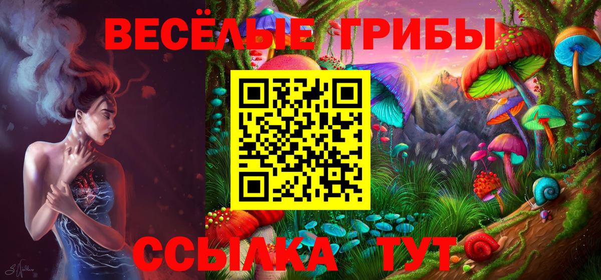 Псилоцибиновые грибы прущие грибы Чита