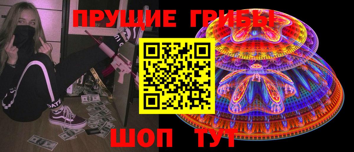 Чита  Псилоцибиновые грибы Psilocybe  Вход с VPN  Галлюциногенные грибы прущие грибы 